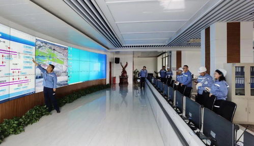 中鋁股份技術(shù)專家服務(wù)組助力包鋁應(yīng)對(duì)頻繁大幅限電挑戰(zhàn)