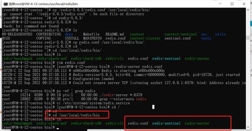 小程序開發(fā)基礎(chǔ)環(huán)境配置